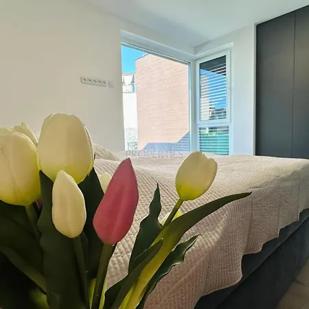 Luxury New House With Garden Lorincik Haje Peres 公寓 *
